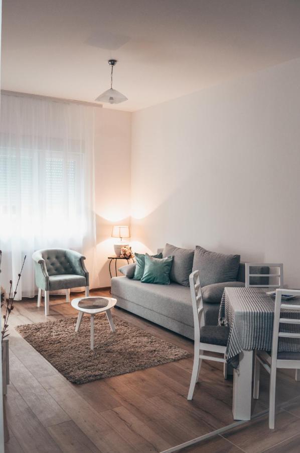 Apartman Lena Banja Koviljača Esterno foto