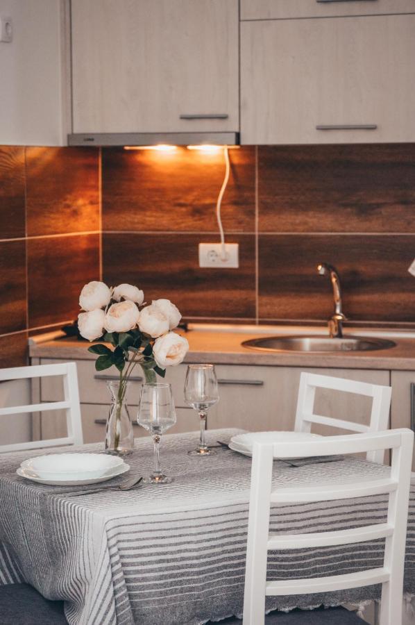 Apartman Lena Banja Koviljača Esterno foto