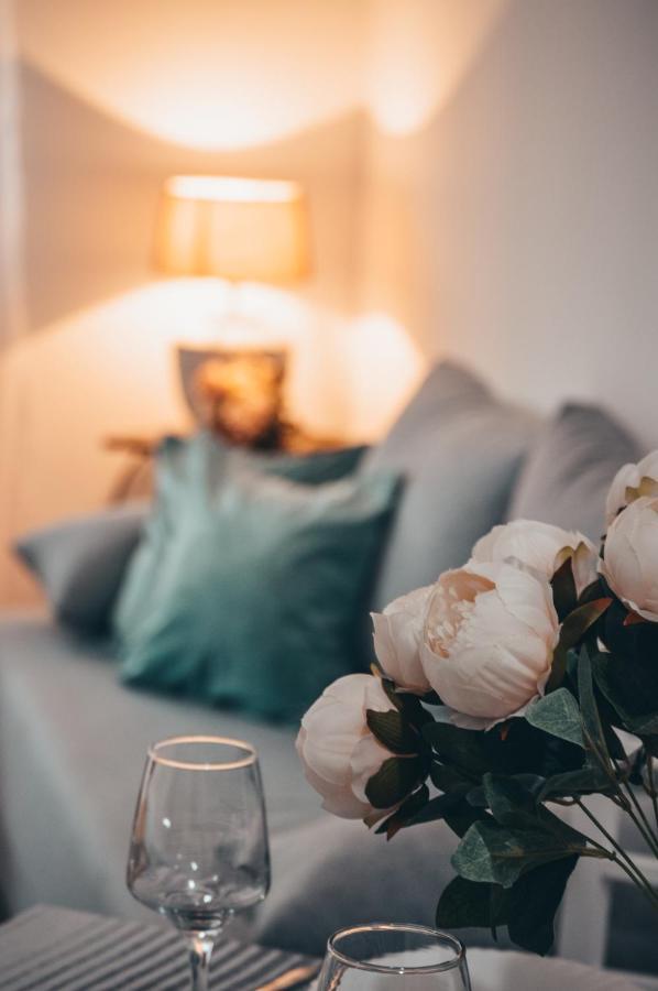 Apartman Lena Banja Koviljača Esterno foto