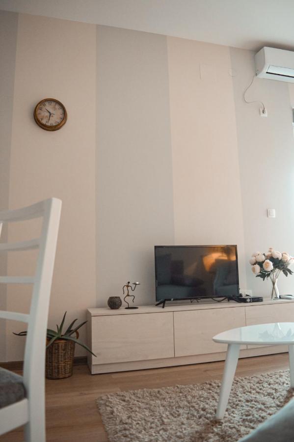 Apartman Lena Banja Koviljača Esterno foto
